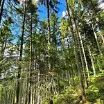 Сasa de vacaciones Przystanek Madejowa