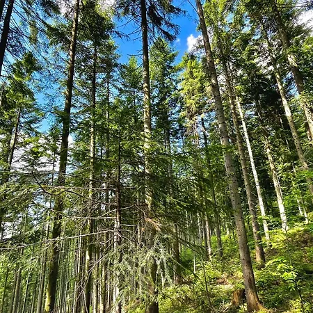 度假居 Przystanek Madejowa