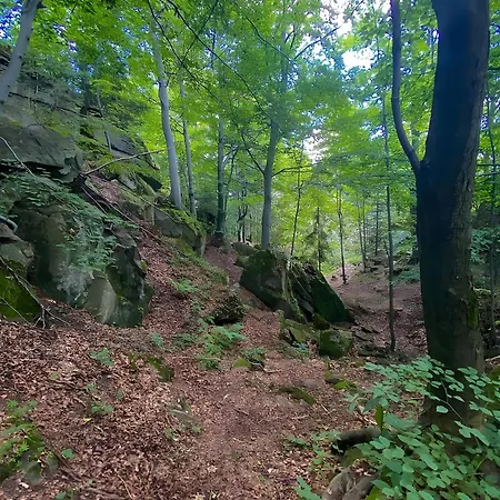 度假居 Przystanek Madejowa Jeleśnia
