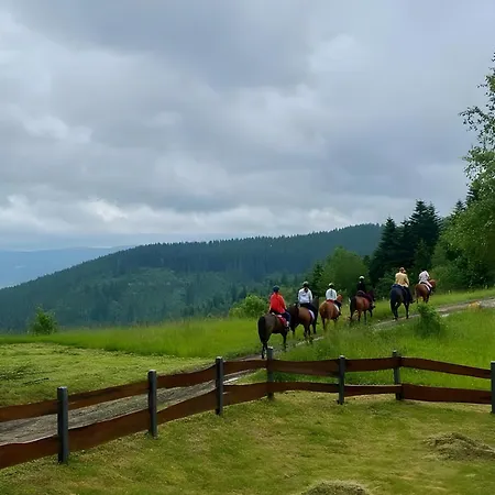 Сasa de vacaciones Przystanek Madejowa *