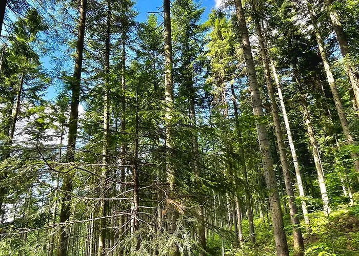 Prázdninový dům Przystanek Madejowa