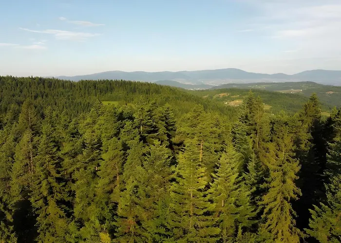 Przystanek Madejowa בית נופש *