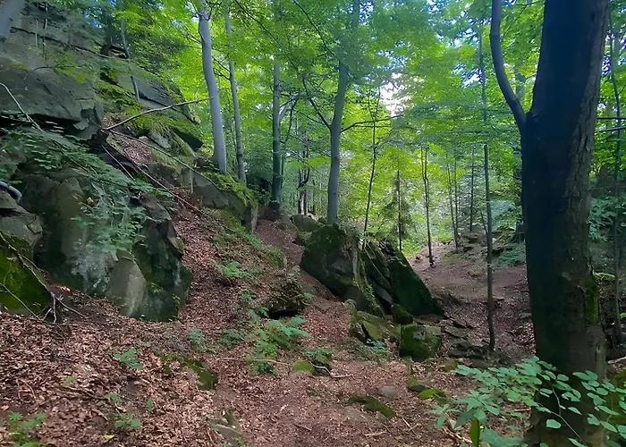 Ferienhaus Przystanek Madejowa Jeleśnia