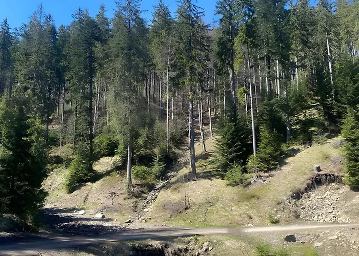 Przystanek Madejowa Jeleśnia