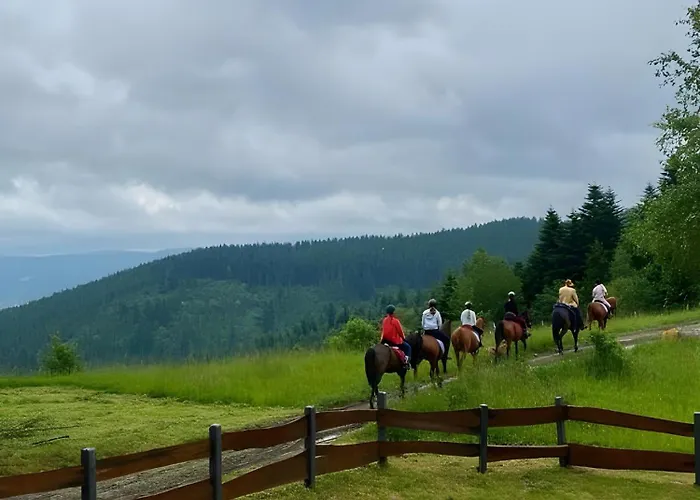 Ferienhaus Przystanek Madejowa *